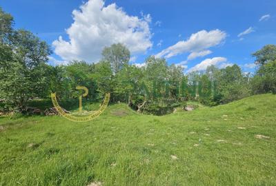 Teren de vânzare în Racovița, Sibiu – Valea Lupului - 8