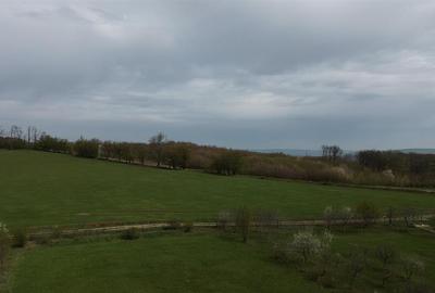 Teren intravilan 5800 mp Mitocasi - Suceava! - 5