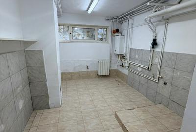 Vila Individuala | Baneasa-Aerogarii | Spatiu Birouri/Rezidential - 10