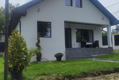 CASA SUPERBA PARTER+POD INALT VALU LUI TRAIAN - 6