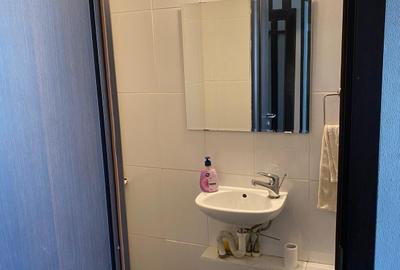 Metrou Brancoveanu-Bulevardul Constantin Brancoveanu-apartament 3 camere - 11