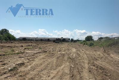 Teren intravilan 7.500 mp | DN73 | 4 km de Dacia Mioveni - 1