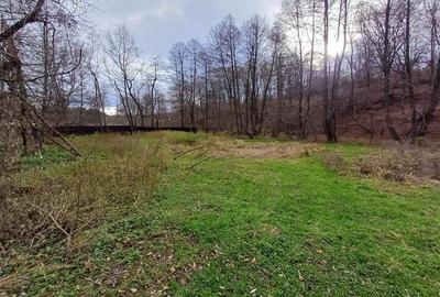 Resita, Teren Drept Intravilan, Langa Prau si Drum, 1308 Mp., 15 Euro Mp., Renk - 8