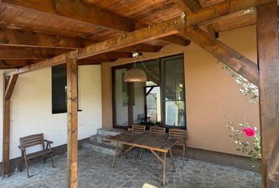 VANZARE CASA INDIVIDUALA/110MP UTILI/TEREN 550MP/DUMBRAVENI BALOTESTI - 6