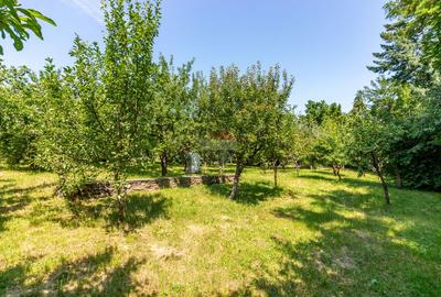 Casă/Vila tip conac, cu anexe si livada de vânzare Valenii de Munte - 27