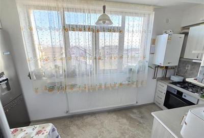 Apartament 2 camere, str. Pepinierii, Valea Adanca - 10