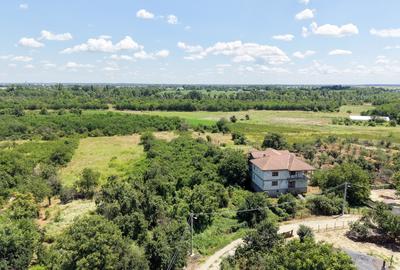 Curte 3200 mp Bolintin Vale, intravilan, intre case - 14