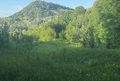 VANZARE TEREN  SAT DOFTANA COM.TELEGA - 14