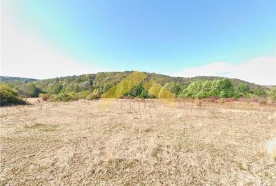 Teren extravilan de 20574 mp, în Corbești