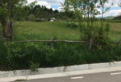 Teren intravilan Valea Lunga Cricov, jud Dambovita - 5