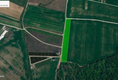 Vanzare teren 10.000 mp, Snagov - Ciolpani, padure, utilitati - 1