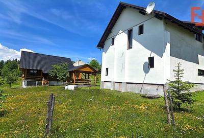Cabana cu 7 camere de vanzare in Albac - V10073 - 15