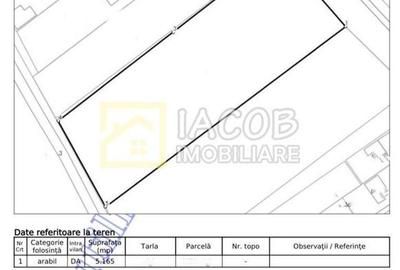 Teren Intravilan 5165 mp Str. Aeroportului Bacau - 2