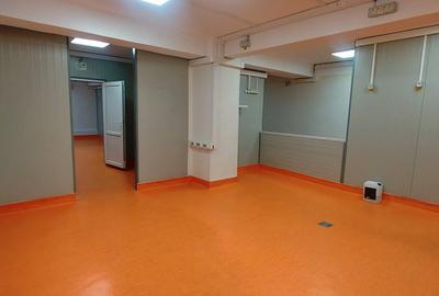 Basarabia-Chisinau, depozitare/birouri/activitati recreative, 100 m.p. - 8
