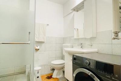Apartament cu 3 camere de inchiriat in Piata Unirii - Fantani - 13