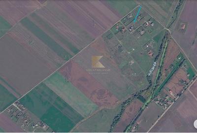 Teren intravilan 1.000 mp de vânzare în Hălchiu | Ideal pentru casă - 2