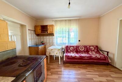 Casa + 1.600 MP teren Intravilan – Băișești | Aproape de Școală - 5