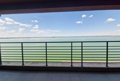 Apartament vedere frontala la lac termen lung - 3