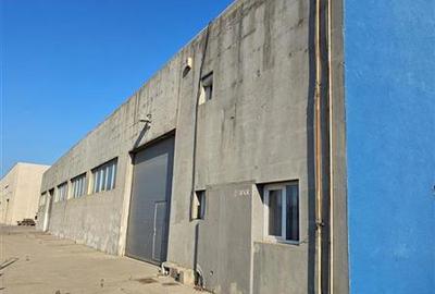 Vanzare depozit/hala/spatiu industrial Domnesti - Clinceni - Bragadiru - Centura - 9