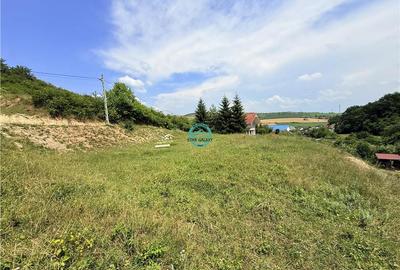 Vand teren 2500 mp in Unirii zona Laboratorului Denisa - 5
