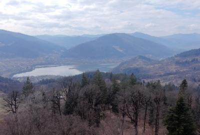 Teren intravilan de 1751 mp, în Scăricica