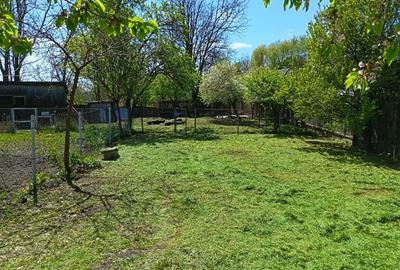 Casa de vanzare in Zanesti, Neamt - 4 camere, curte 2000 mp, direct proprietar - 2