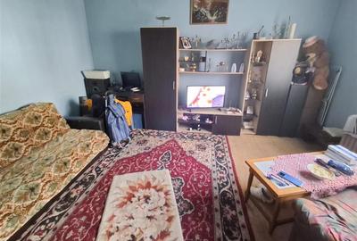 Casa 2 camere 120 mp teren zona Vasile Aaron - 10