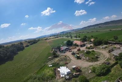 Oportunitate de investiție – Teren intravilan 22.942 mp, Vânători - 3
