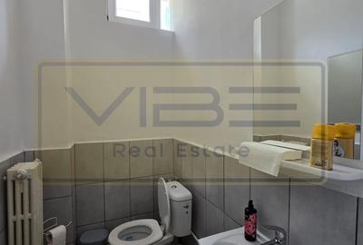 Spațiu comercial -  Vitrina-  Baza 3/ Carrefour Felicia - 3