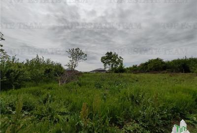 Teren Construcții intravilan de 2433 mp, în Balotești