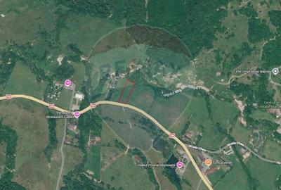 Teren de 4.000 mp cu deschidere la DN73A – Cheile Rasnoavei - 4