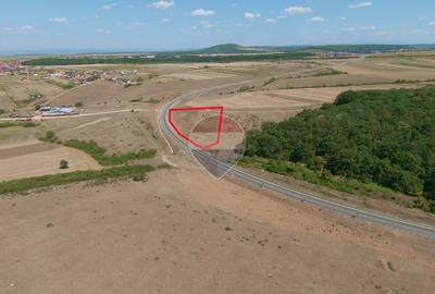 Teren 7.315 mp, Inel Metropolitan, proxim Zoopark Oradea, de vânzare - 7