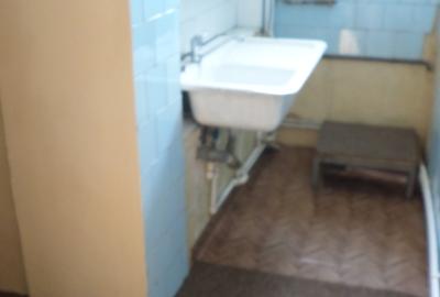 Victoriei, apartament in vila semidecomandat - 12