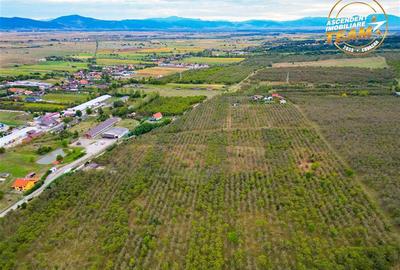Teren extravilan, 6.510mp, Simeria, Sfantu Gheorghe - 3