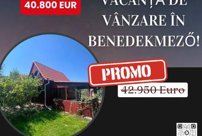 Casă de vacanță de vânzare în Benedekmező! - 1
