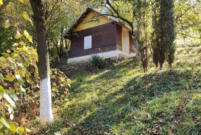 TEREN INTRAVILAN CABANA SI DEPOZIT DE UNELTE - 6