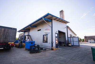 Vânzare Complex industrial  – 3.037 mp teren, 4 hale - 1400 mp Beiuș - 18