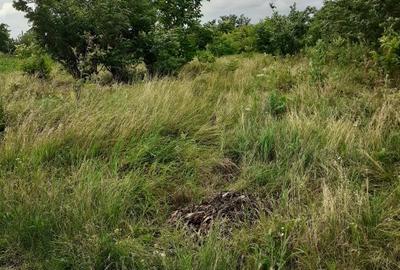 Teren intravilan Fundulea, 2750/25, utilități, ieftin, aproape de balta, 18500 e - 5