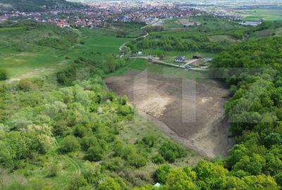 Teren Construcții extravilan de 15100 mp, în Aiud