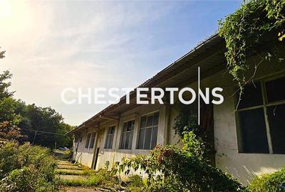 Teren de vanzare  intrare Tecuci , potential comercial, retail,  industrial, agr - 6