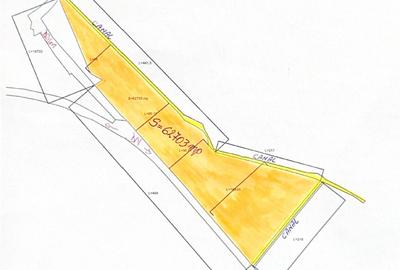 Teren Construcții intravilan de 65700 mp, în Vințu de Jos