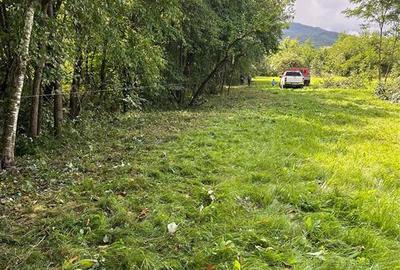 Teren Construcții intravilan de 3200 mp, în Dejani