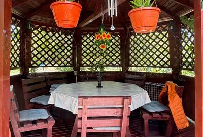Casa Individuala - Parter - Zona Elisabetin - 17