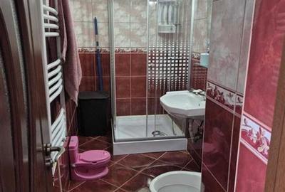 Vanzare casa P+1E, 2006, curte proprie, foisor, Voluntari - 8