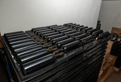 CRAMĂ PREMIUM DE VÂNZARE -60 HA- CONAC ISTORIC- PODGORIA DRĂGĂȘANI - 18