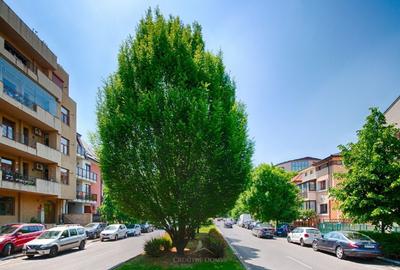 Domenii - Apartament in vila, cu garaj, 4 locuri de parcare, curte - 21