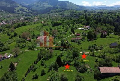 Loturi de teren 1.000 mp | Poarta – Bran | Vedere panoramică către Munții Bucegi - 3