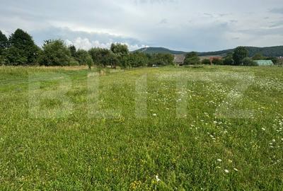 Teren Construcții intravilan de 3900 mp, în Unirea