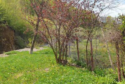 Vand  casa cu gradina - 2