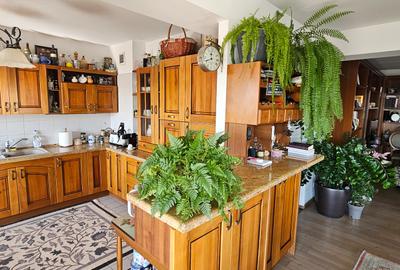 Penthouse - vanzare 4 camere - Central Park - 9